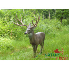 Natur Foam WHITE TAIL